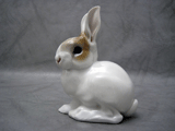 painted allach rabbit 61